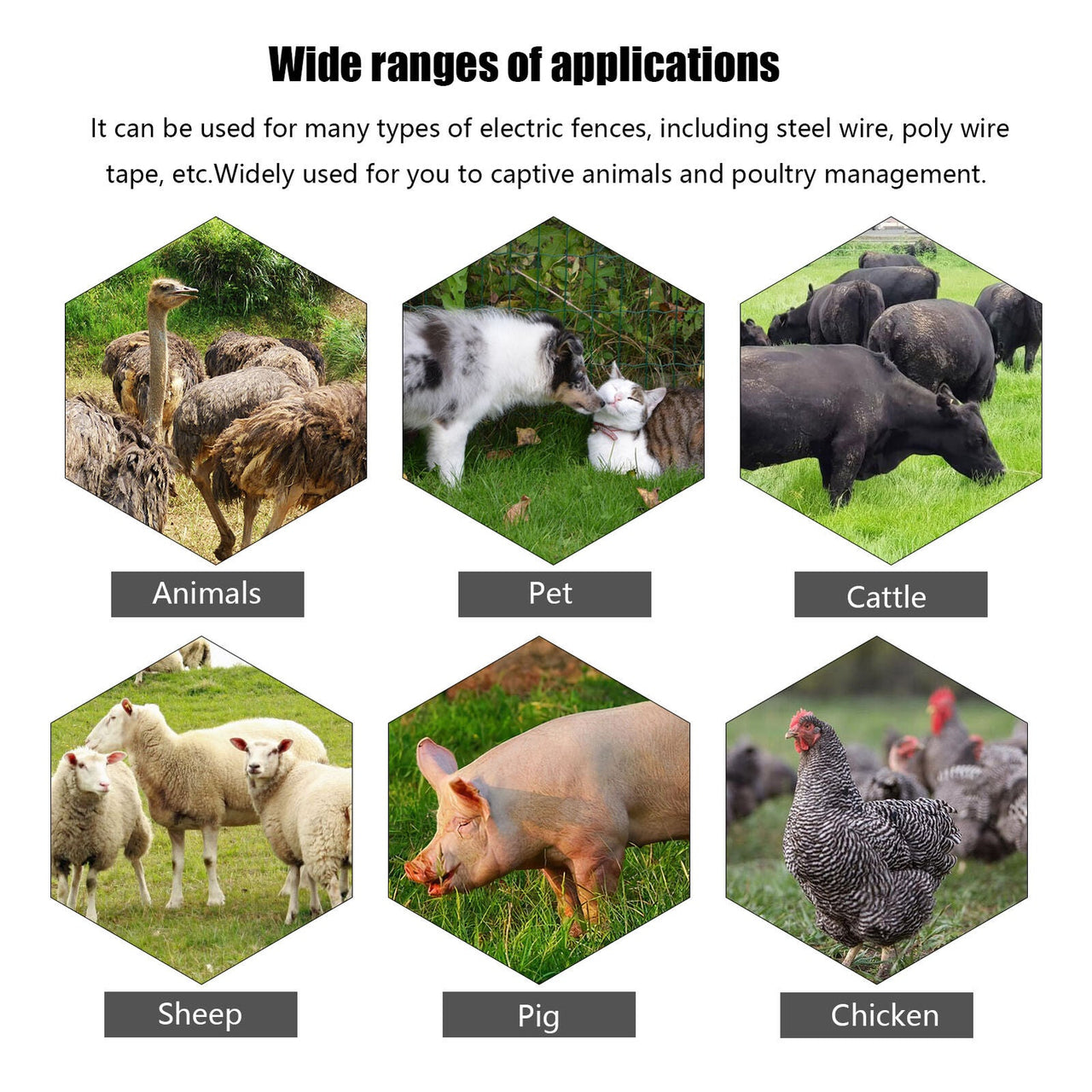 Electric Fence Tester