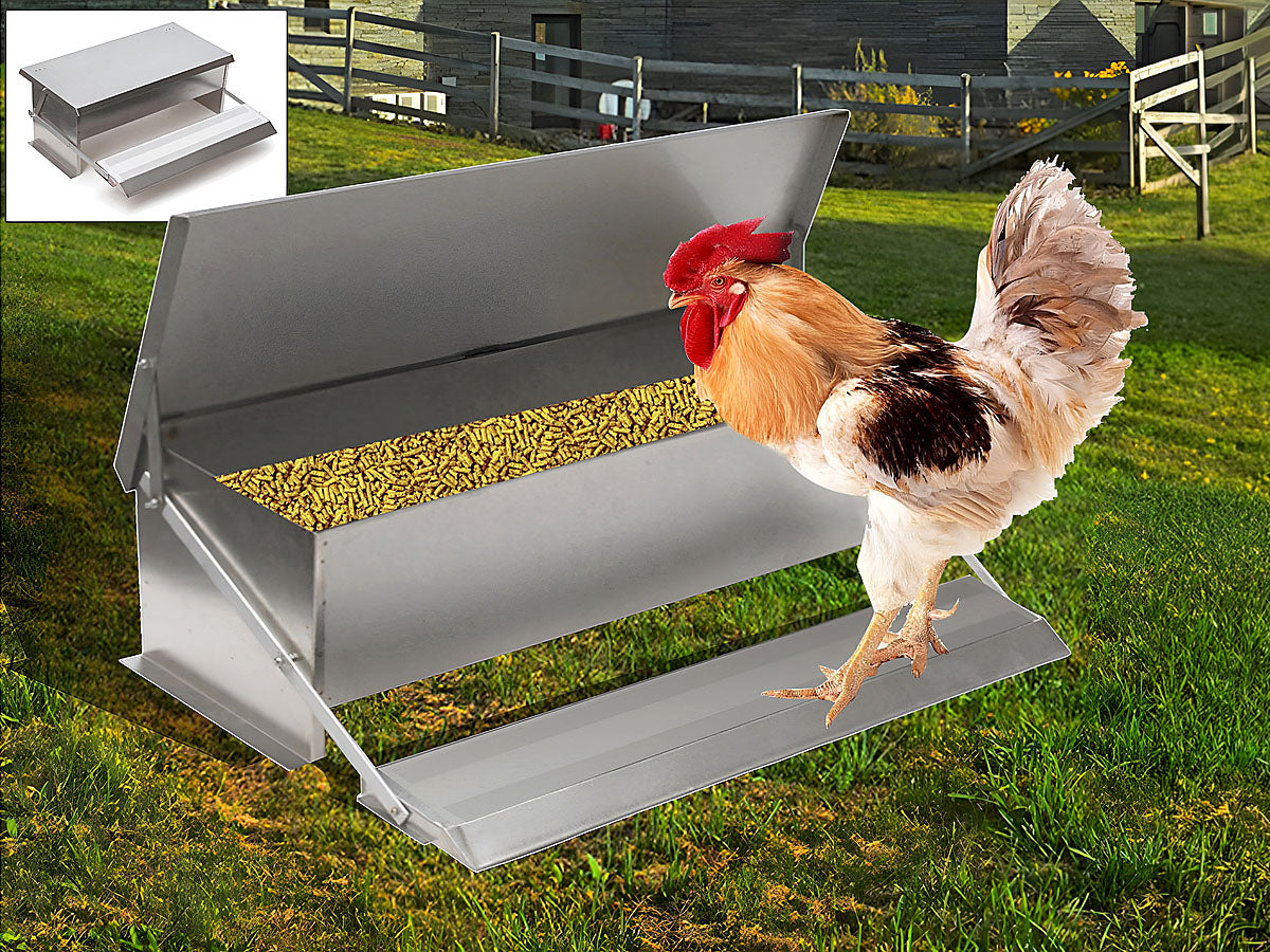 Automatic Chicken Feeder