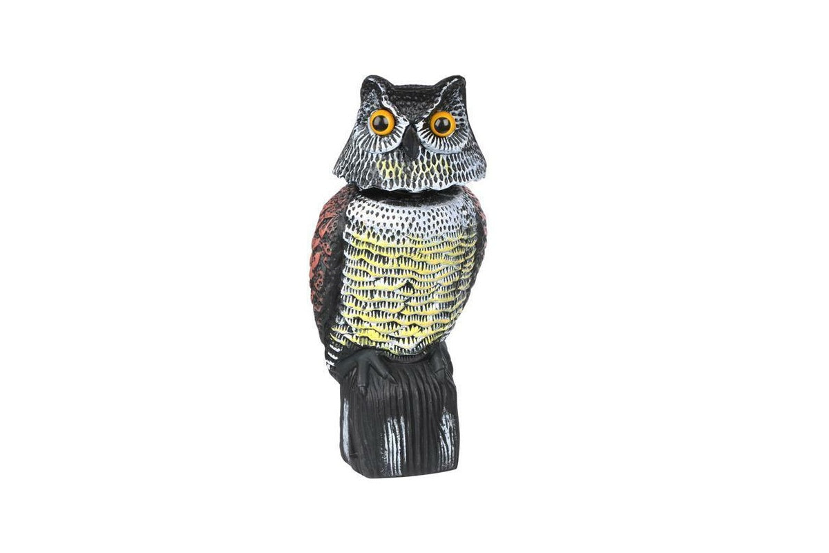 Owl bird scarer in field to protect crops