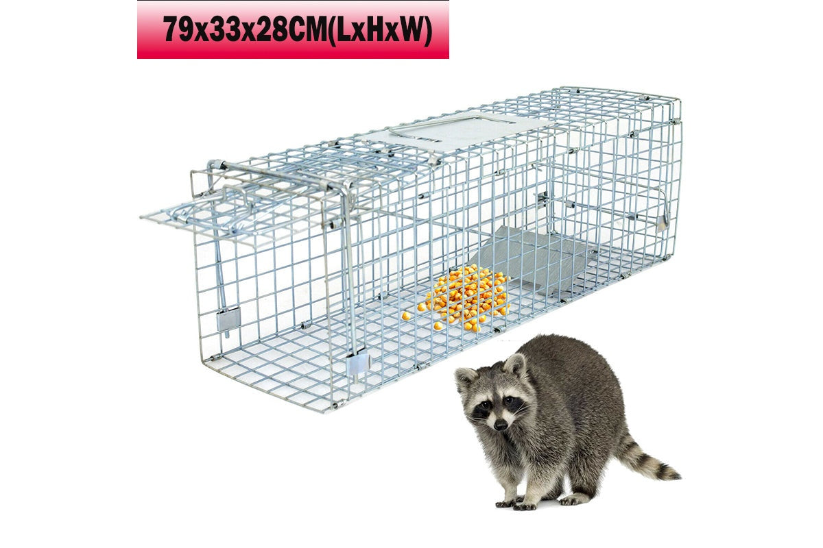 Possum trap cage folded for easy storage and transport