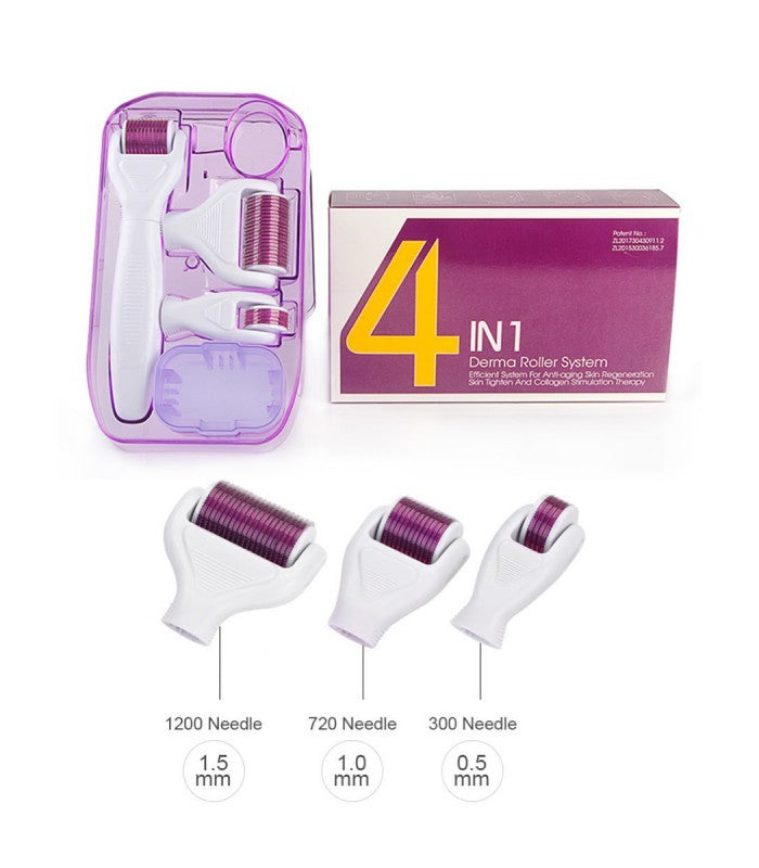 Derma Roller 4 In 1 Derma Roller