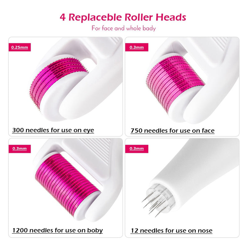 Derma Roller 4 In 1 Derma Roller