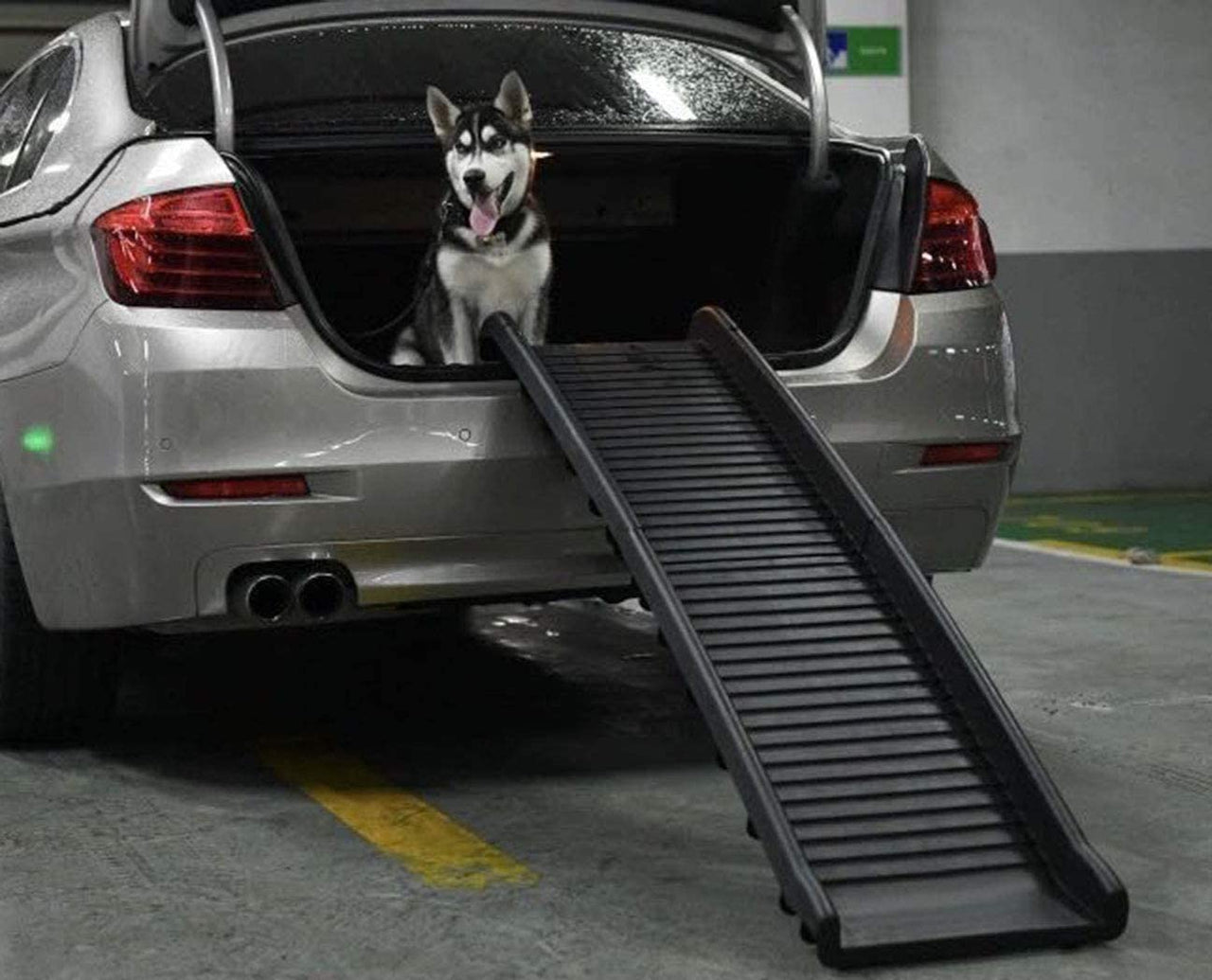 Folding Dog Ramp, Pet Ramp