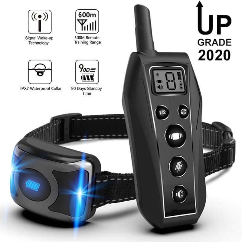 Dog Training Collar