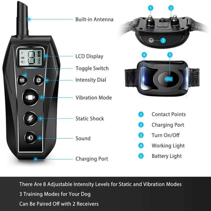 Dog Training Collar