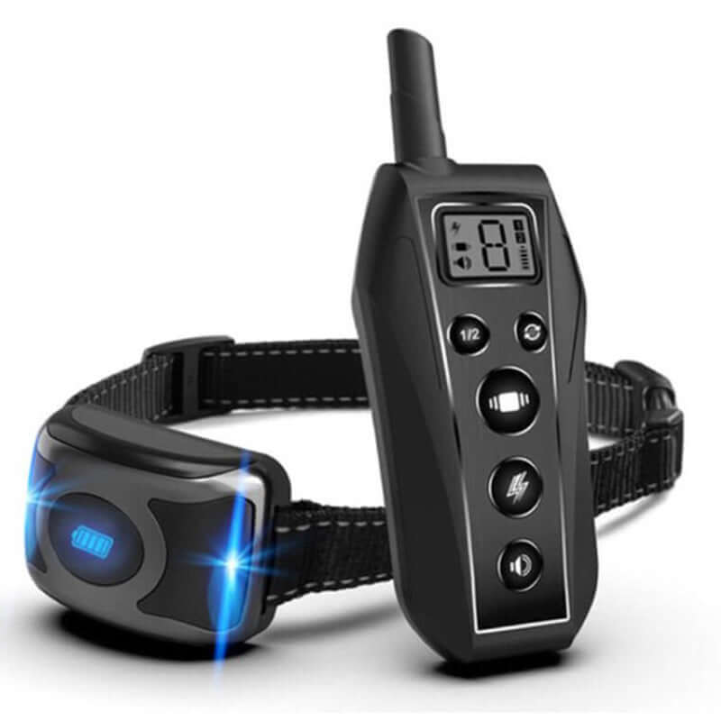 Dog Training Collar