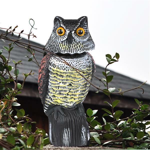Owl bird scarer placed on lawn to deter birds