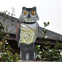 Thumbnail for Owl bird scarer placed on lawn to deter birds